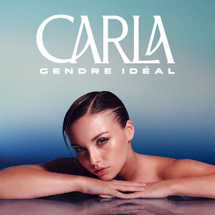 Gendre Idéal