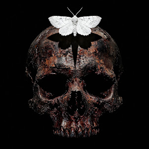 Hex Blood — Rotting In The South