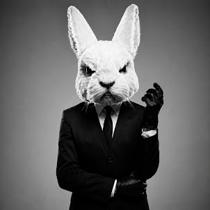 Leonidas — White Rabbit