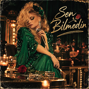Sevda Yalçin — Sen Bilmedin