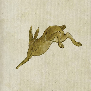 Yaelokre — Harpy Hare
